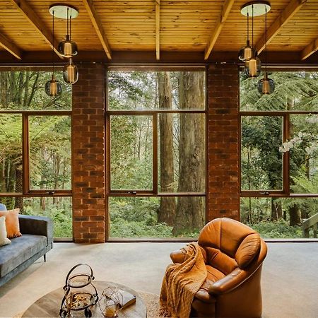 Modern Seednest Treehouse, Forest & Mountain View Vila Sassafras Exterior foto