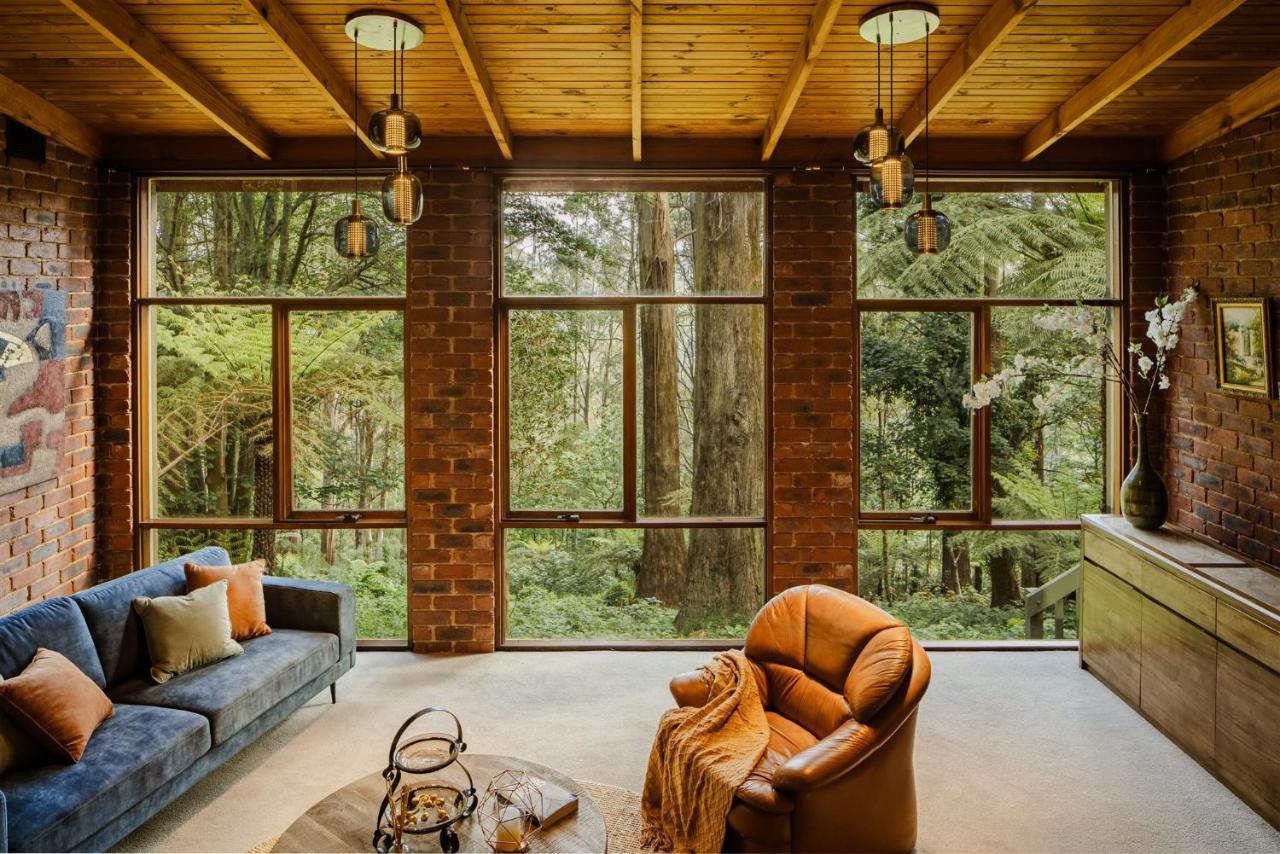 Modern Seednest Treehouse, Forest & Mountain View Vila Sassafras Exterior foto