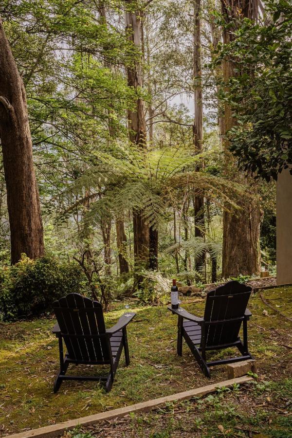 Modern Seednest Treehouse, Forest & Mountain View Vila Sassafras Exterior foto