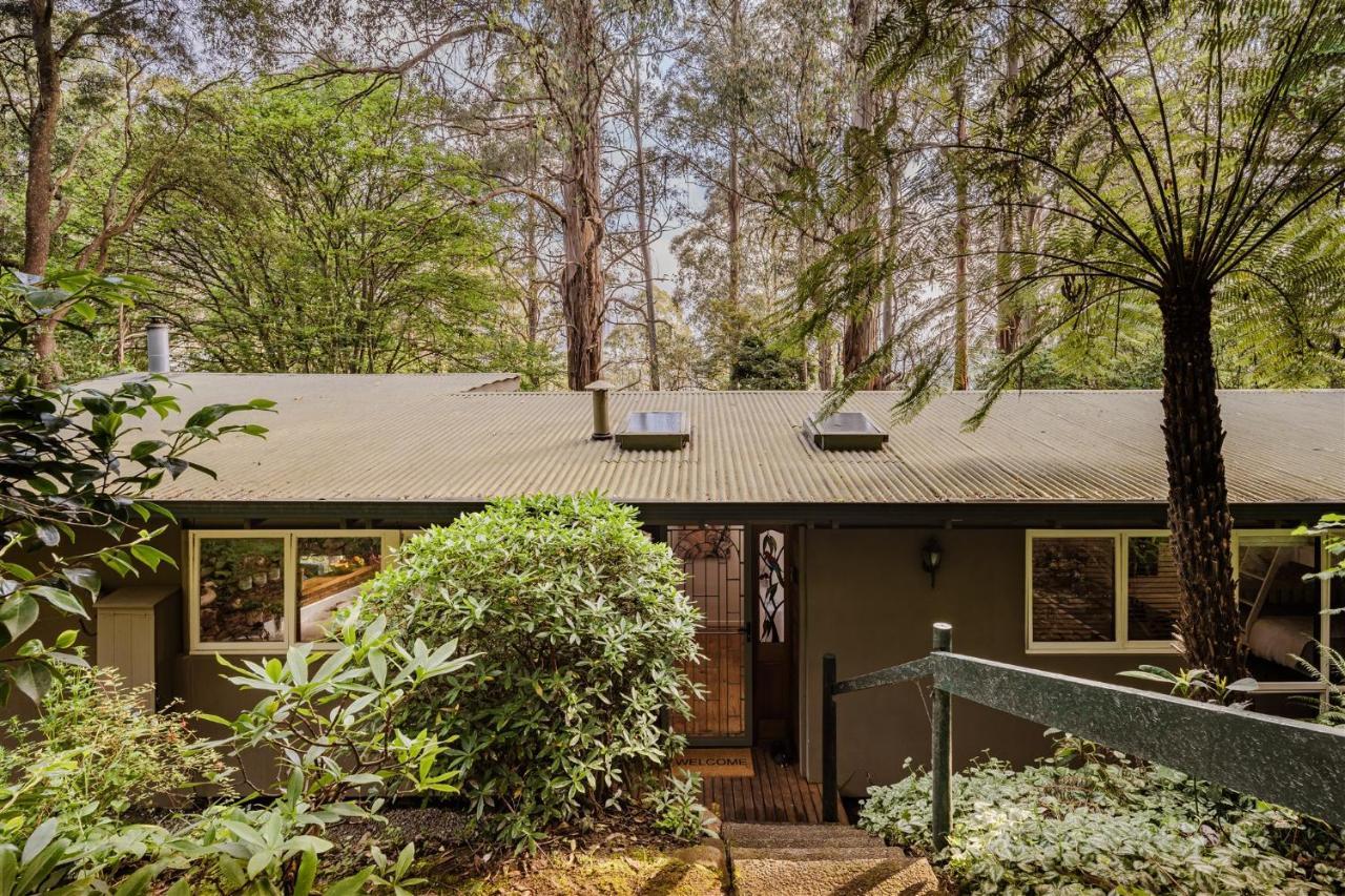 Modern Seednest Treehouse, Forest & Mountain View Vila Sassafras Exterior foto